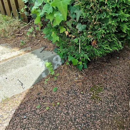 Maison Dans Avec Piscine * سانت باليه سور مير