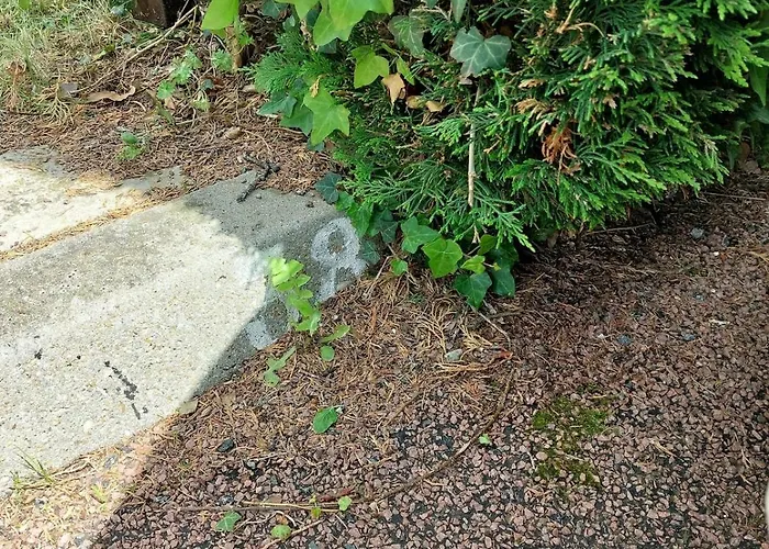 Maison Dans Avec Piscine * 滨海圣帕莱